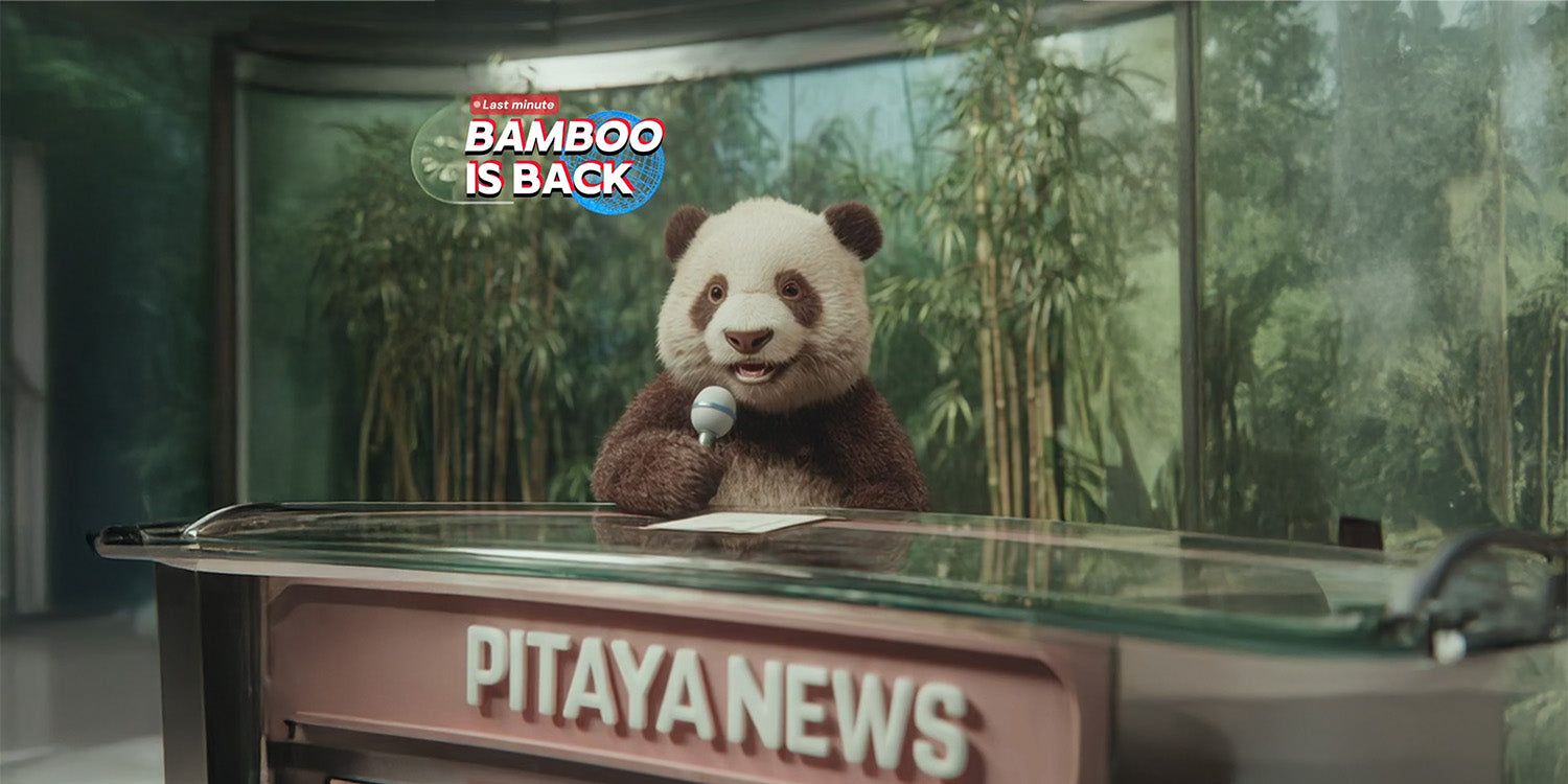 You Asked... Bamboo Is Back